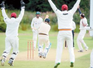 Slough Cricket Club wants to build third pitch at Upton Court Road ground